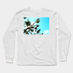 Curved sea pine branch with cones and the azure sky in the background Long Sleeve T-Shirt